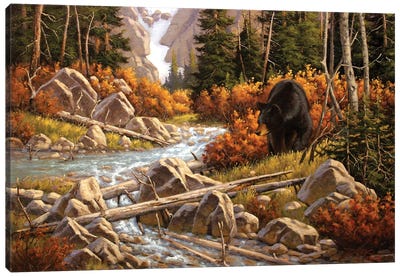 Changing Season Canvas Art Print - Black Bears