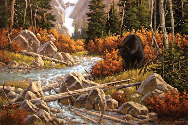 Bears: Changing Season by Derk Hansen