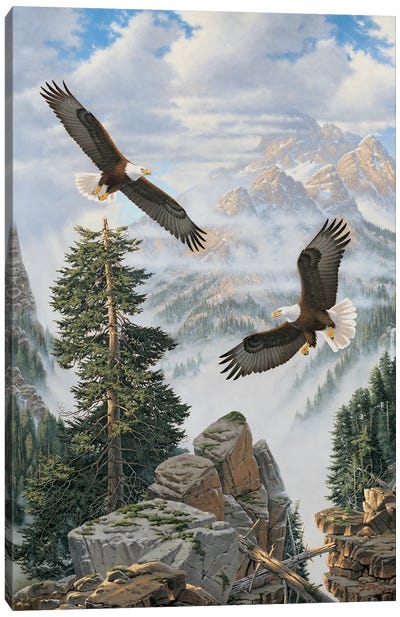 Where Eagles Soar Canvas Art Print - Eagle Art