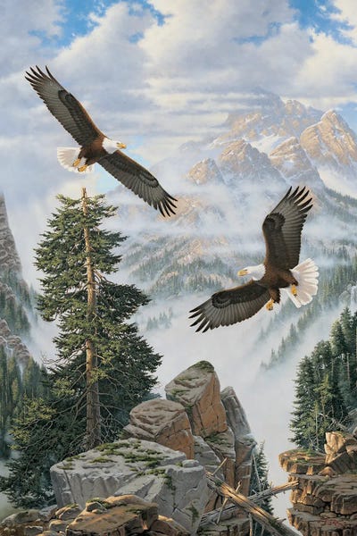 Rustic Décor: Where Eagles Soar by Derk Hansen