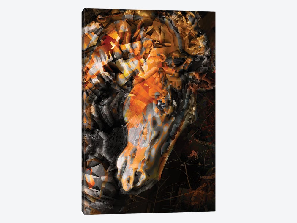 Wild Horse by Darkko 1-piece Canvas Print