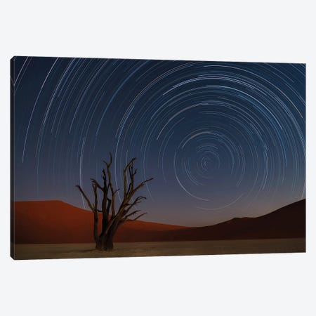 Star Trails Of Namibia Canvas Print #DKN2} by Karen Deakin Art Print