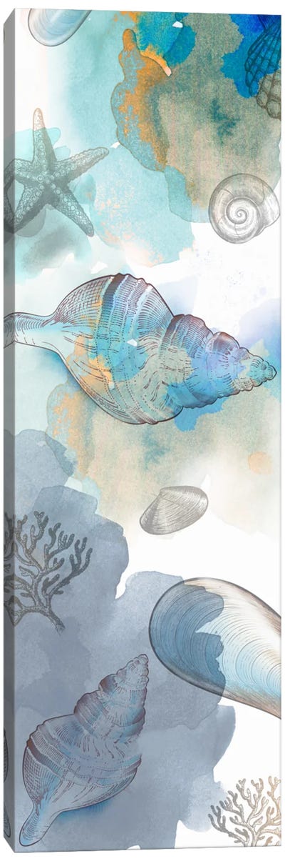 Shell Reflections II Canvas Art Print - Drako Fontaine