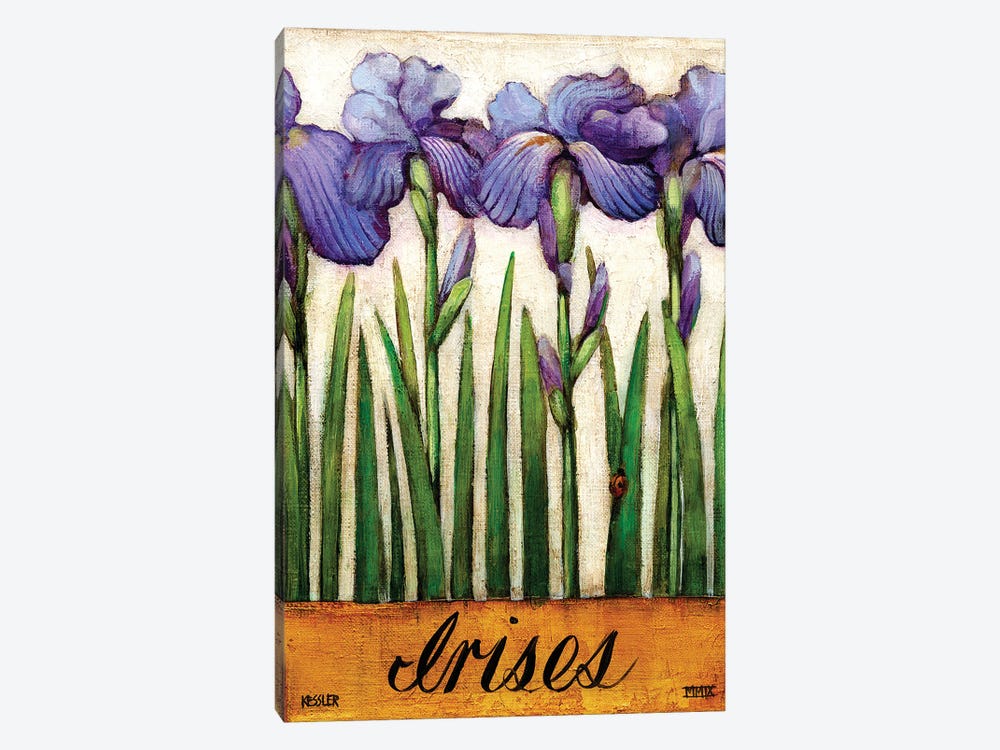 Irises by Daniel Patrick Kessler 1-piece Canvas Wall Art