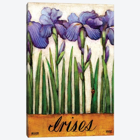 Irises Canvas Print #DKS50} by Daniel Patrick Kessler Canvas Artwork