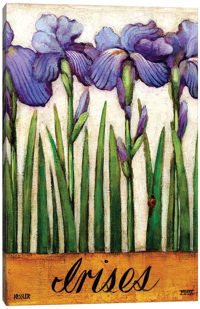 Irises Canvas Art Print - Gardening Art