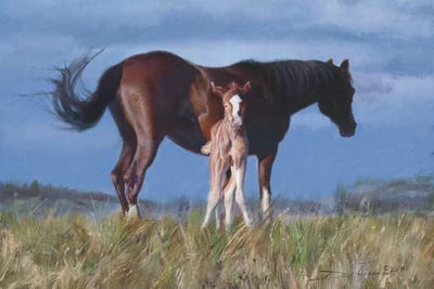 Born Yesterday by David Edward Kucera canvas print