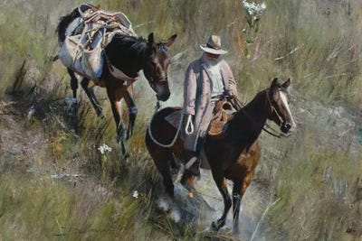 Grassy Descent by David Edward Kucera framed wall art