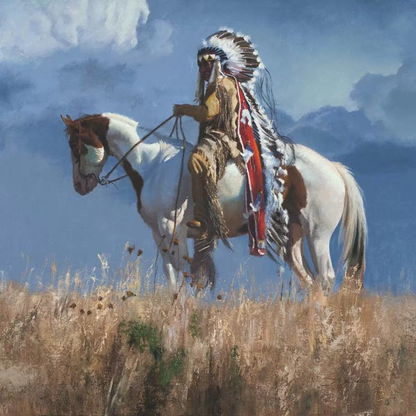 Native American Décor: High Atop The Plains by David Edward Kucera
