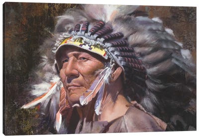 Many Feathers Canvas Art Print - Native American Décor