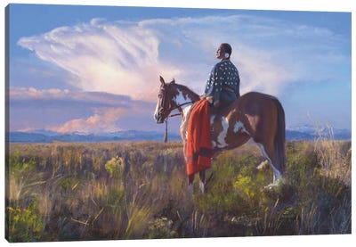 Red Blanket Horizon Canvas Art Print - David Edward Kucera