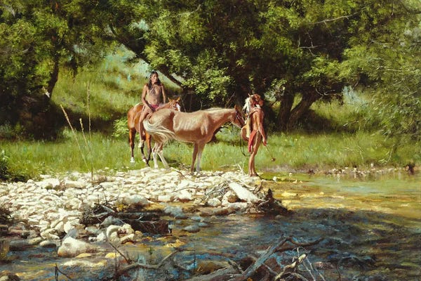 Indigenous & Native American Culture: Streamers by David Edward Kucera