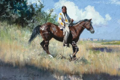 The Edge Of The Badlands by David Edward Kucera framed wall art