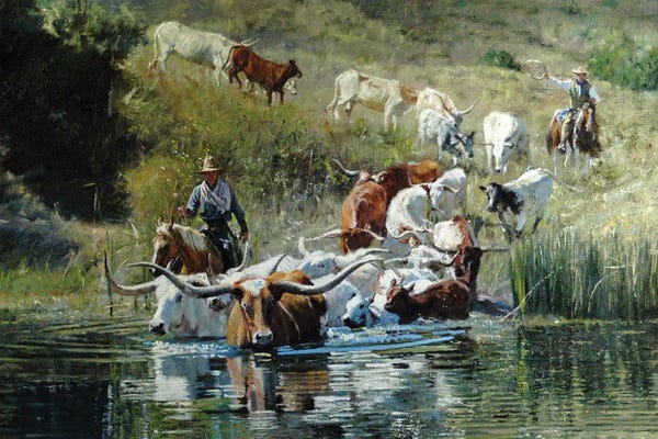 Bulls: Crossing The Pound by David Edward Kucera