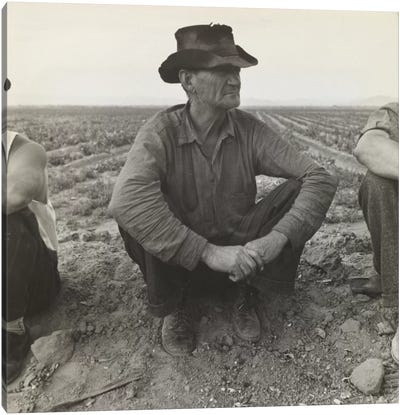 Jobless On The Edge Of A Pea Field, Imperial Valley, California, USA Canvas Art Print - Dorothea Lange