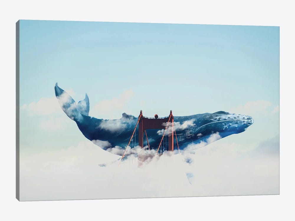 Whale Watching In San Fran by David Loblaw 1-piece Canvas Wall Art