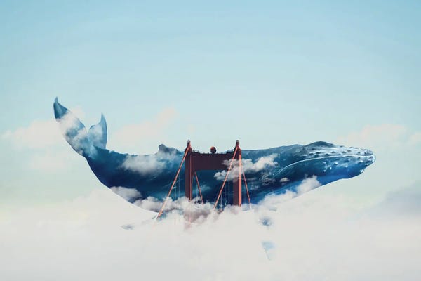 Imagination: Whale Watching In San Fran by David Loblaw