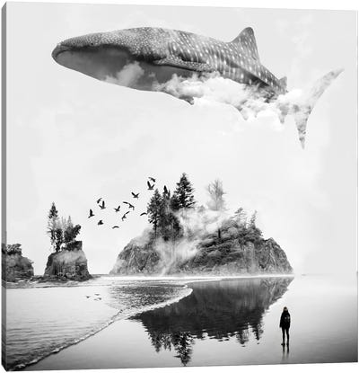 Whale Shark Island Canvas Art Print - Imagination Art