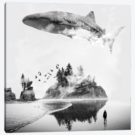 Whale Shark Island Canvas Print #DLB101} by David Loblaw Canvas Art