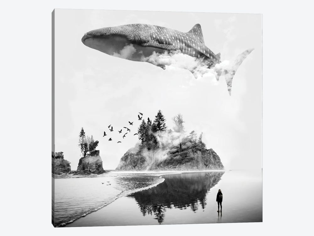 Whale Shark Island by David Loblaw 1-piece Canvas Print