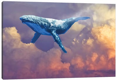 World Whale Watching Canvas Art Print - Imagination Art