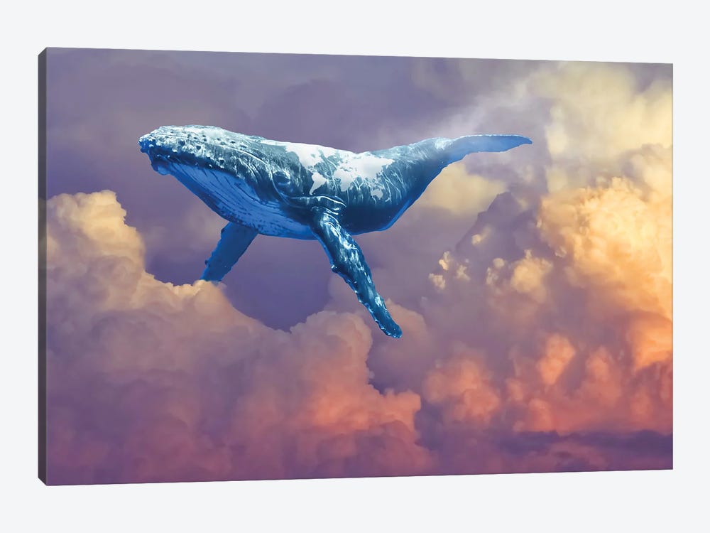 World Whale Watching by David Loblaw 1-piece Canvas Wall Art