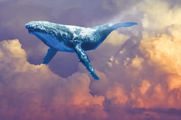 Kids Ocean Life Art: World Whale Watching by David Loblaw