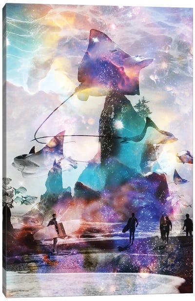 Tripping Out At Rays Point Canvas Art Print - David Loblaw