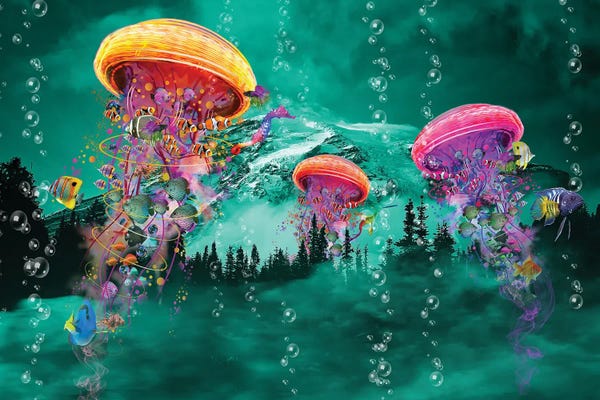 Jellyfish: Electric Jellyfish in front of a Mountain by David Loblaw