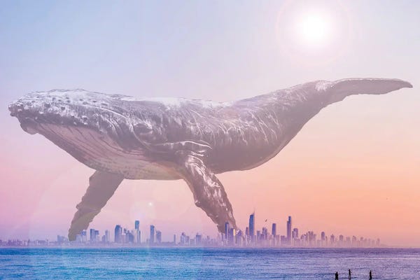 Humpback Whales: Mega Whale over a Hazy Surf City by David Loblaw