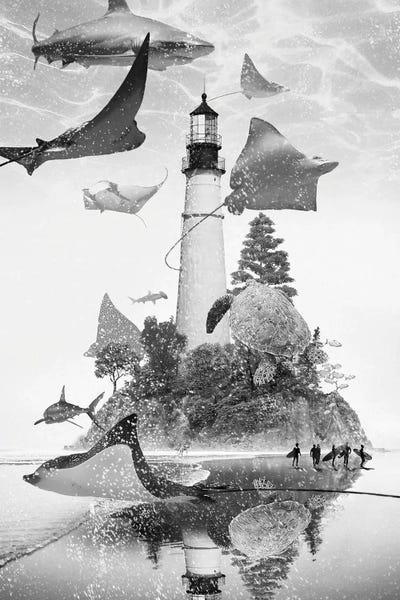 Inspirational Office: Mantaray Island by David Loblaw