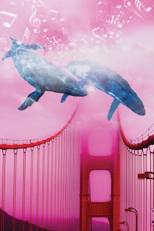 Whale Music At The Bridge