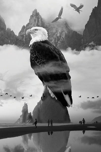 Creativity: Eagles Point by David Loblaw