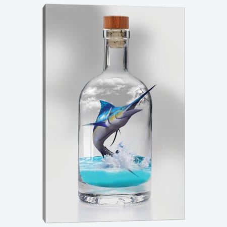 Sailfish In A Bottle Canvas Print #DLB110} by David Loblaw Art Print