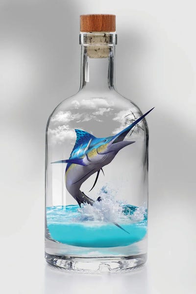 Inspirational Office: Sailfish In A Bottle by David Loblaw