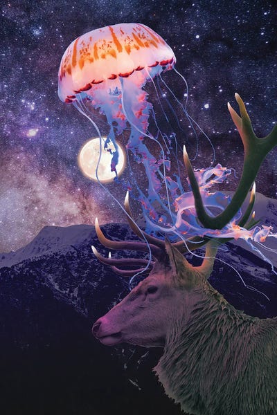 Night Light by David Loblaw framed canvas print