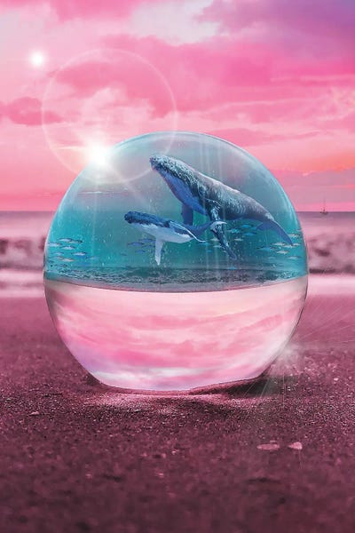 Humpback Whales: Crystal Beach Whale Watching by David Loblaw