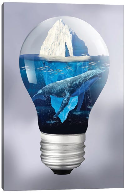 Whale And Iceberg In The Light Canvas Art Print - David Loblaw