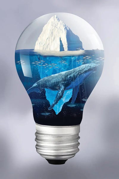 Creativity: Whale And Iceberg In The Light by David Loblaw