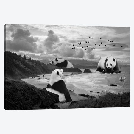 Giant Panda At The Beach Canvas Print #DLB11} by David Loblaw Canvas Wall Art
