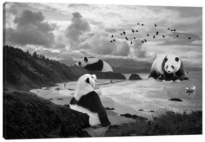 Giant Panda At The Beach Canvas Art Print - Panda Art