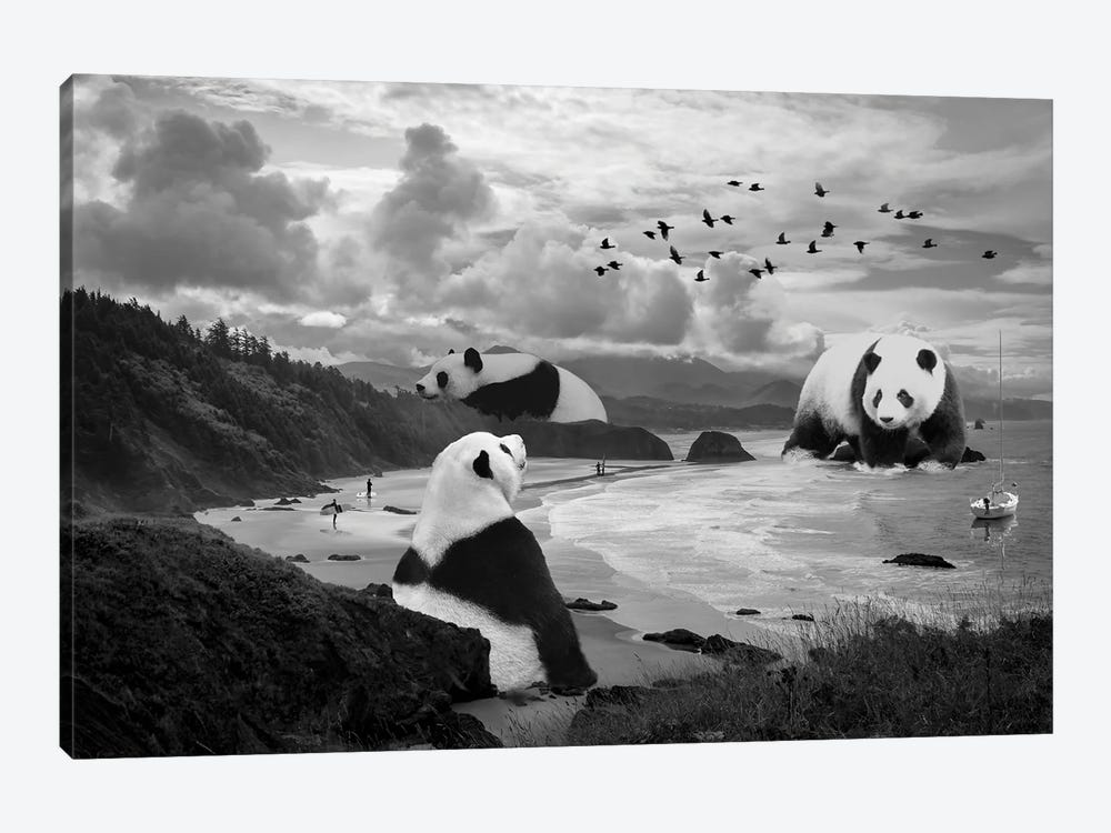Giant Panda At The Beach by David Loblaw 1-piece Canvas Print