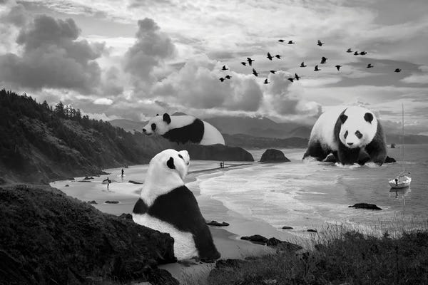 Kids Transportation Art: Giant Panda At The Beach by David Loblaw