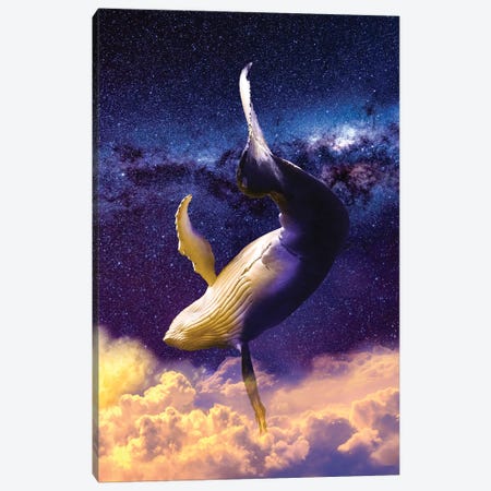 Dream Whale Canvas Print #DLB131} by David Loblaw Canvas Art Print