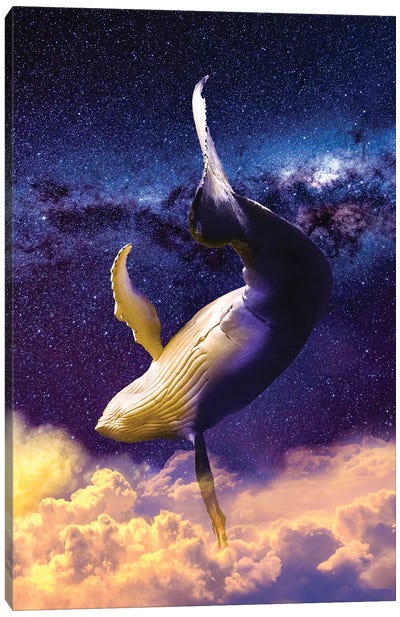 Dream Whale Canvas Art Print - David Loblaw
