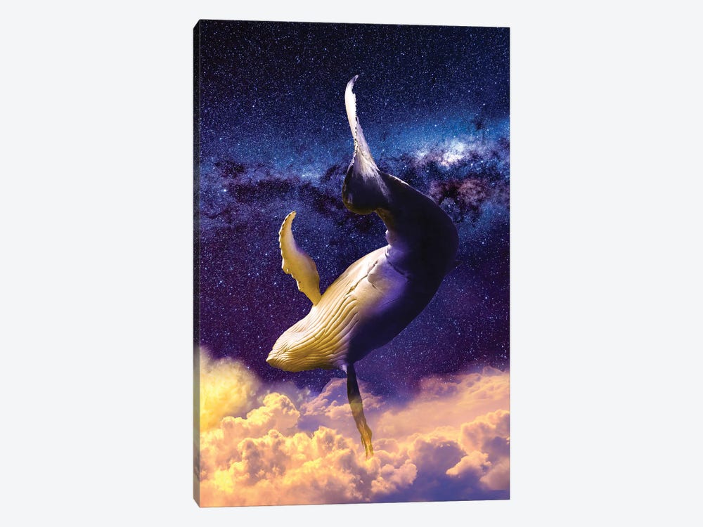 Dream Whale by David Loblaw 1-piece Canvas Art