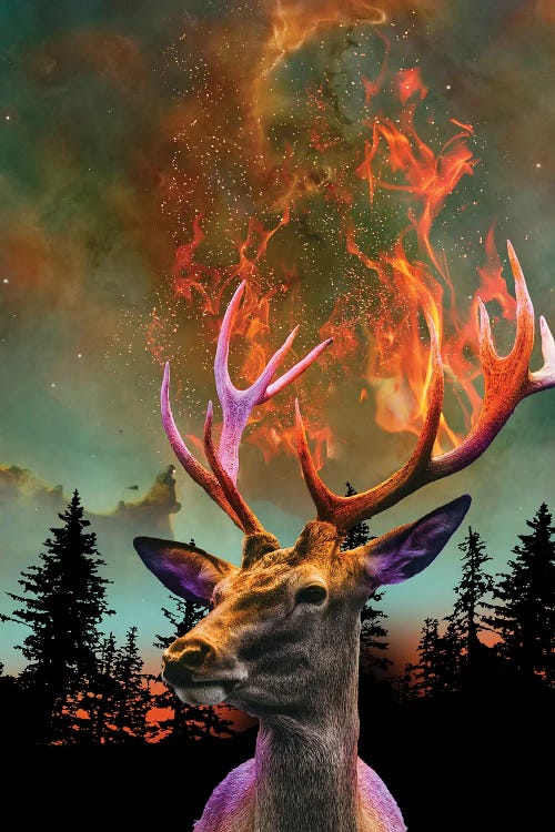 The Nature Of Things - Fire Deer