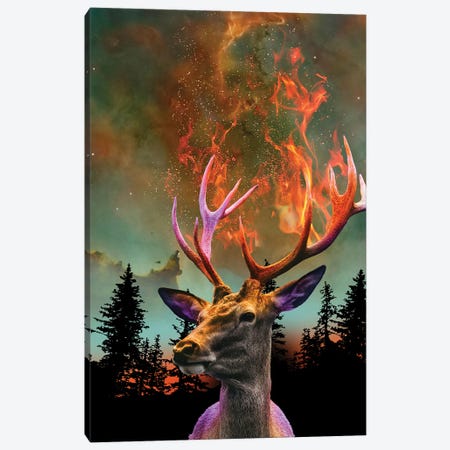 The Nature Of Things - Fire Deer Canvas Print #DLB134} by David Loblaw Canvas Wall Art