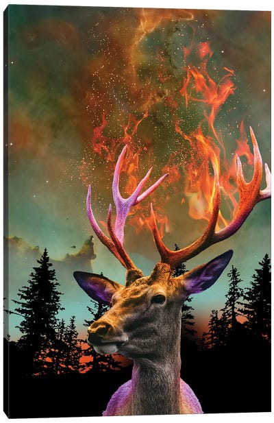 The Nature Of Things - Fire Deer Canvas Art Print - David Loblaw