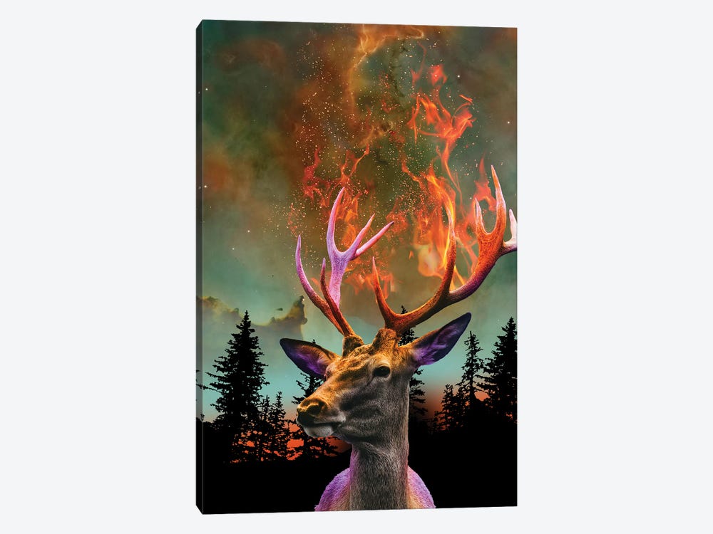 The Nature Of Things - Fire Deer by David Loblaw 1-piece Canvas Print